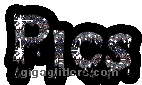 Gallery Title